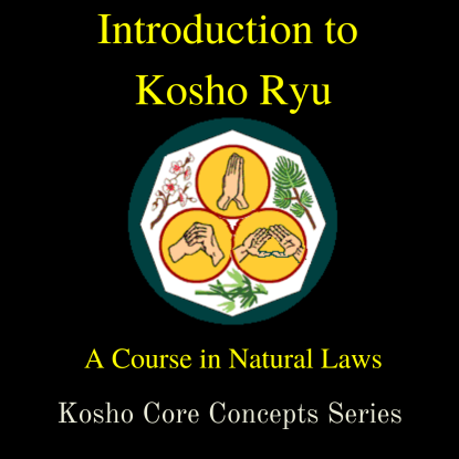 Introduction to Kosho Ryu