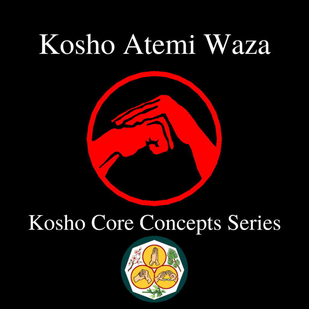 Kosho Atemi Waza: The Art of Striking