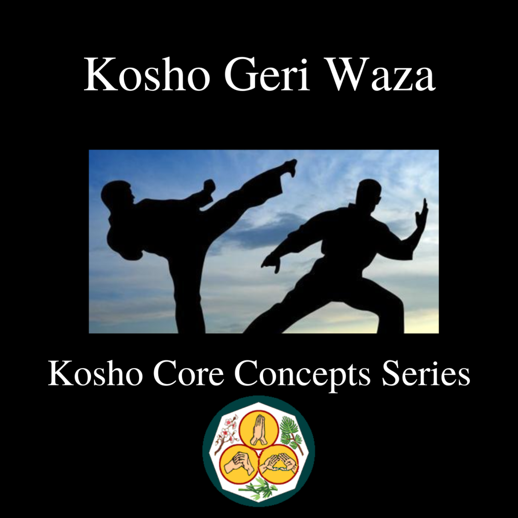 Kosho Geri Waza: The Art of Kicking