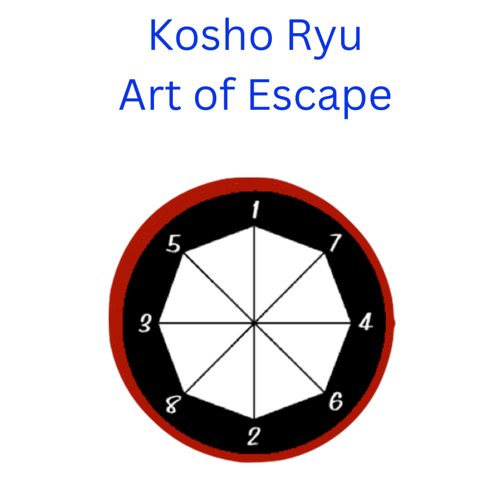 Kosho Ryu Art of Escape