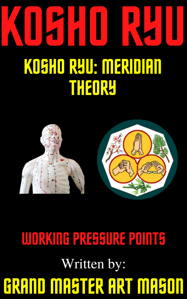 Kosho Ryu: Meridian Theory