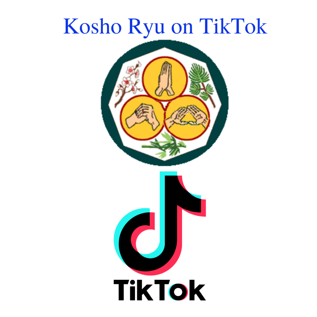 Kosho Ryu on TikTok