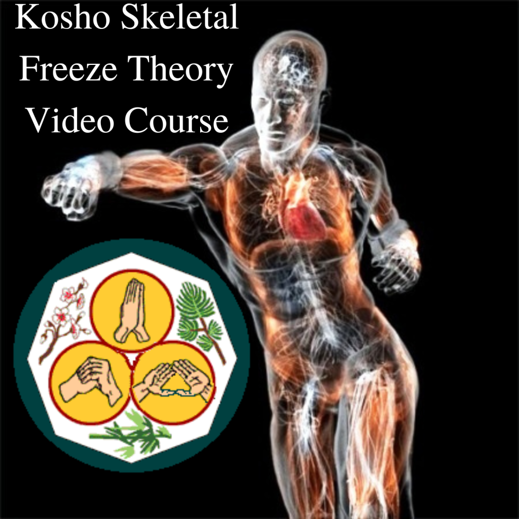 Kosho Skeletal Freeze Theory Video Course