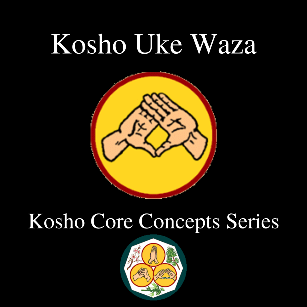 Kosho Uke Waza: The Art of Blocking