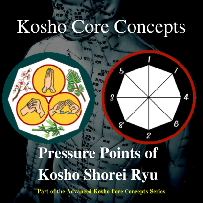 Pressure Points of Kosho Shorei Ryu