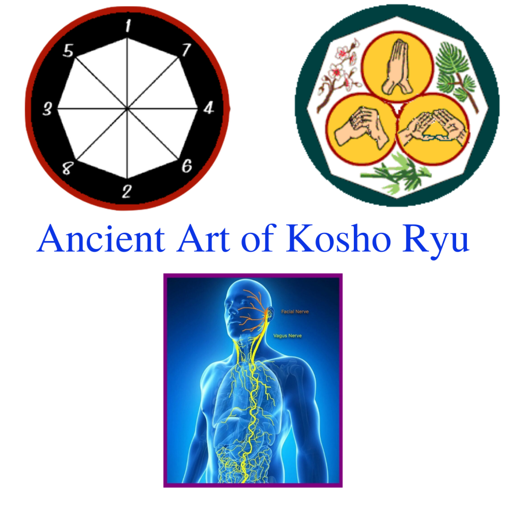 Ancient Art of Kosho Ryu