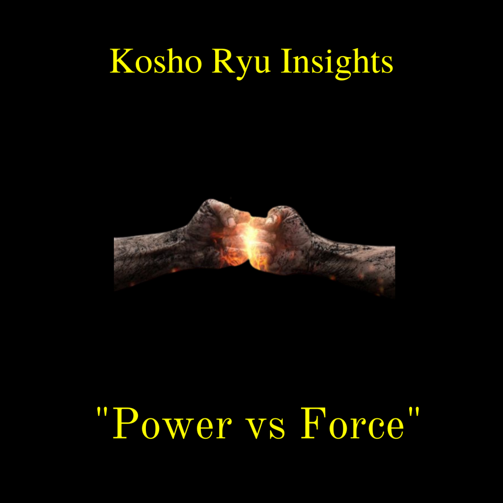 Kosho Ryu Insights - Power vs Force