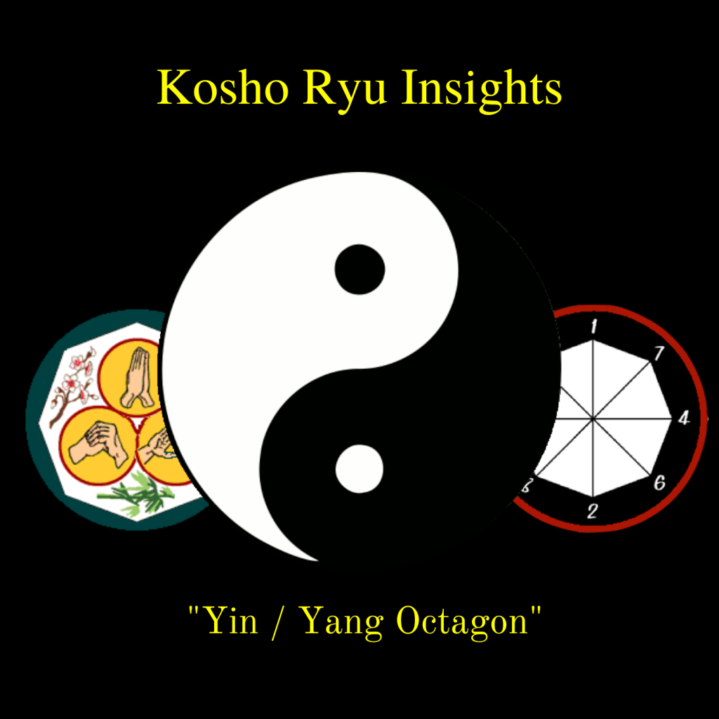 Kosho Ryu Insights - Yin Yang Octagon