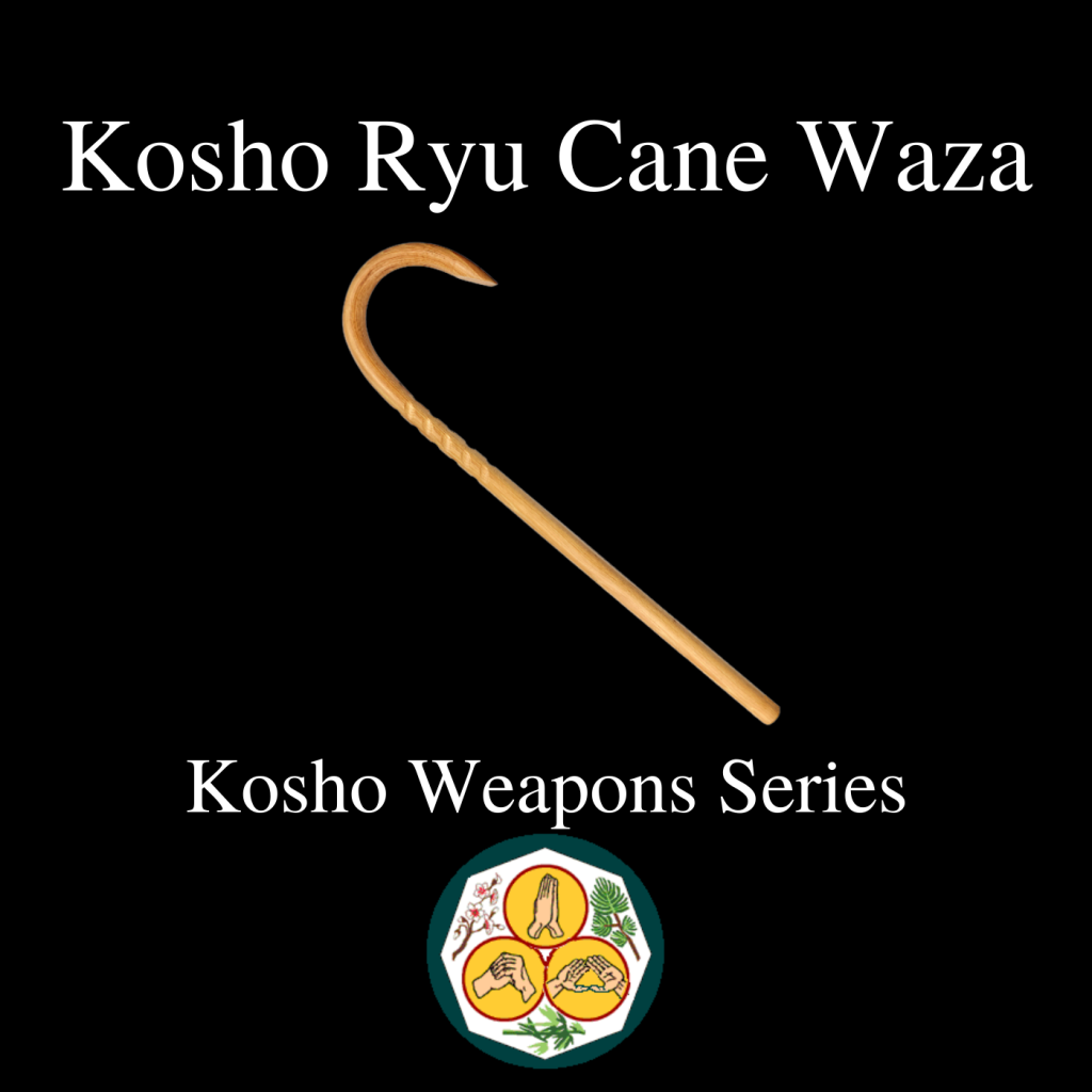 Kosho Ryu Cane Waza: The Walking Cane