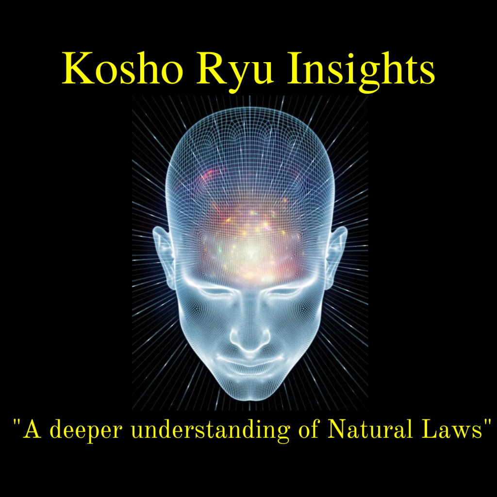 Kosho Ryu Insights Video Course