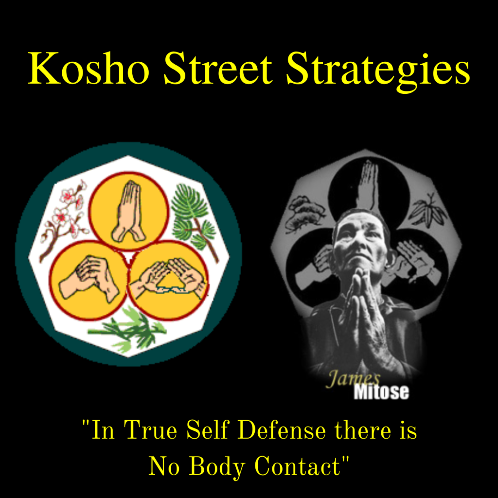 Kosho Street Strategies: In True Self Defense