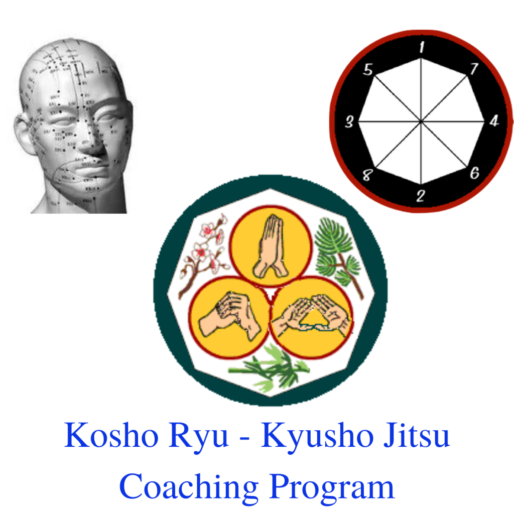 Kosho Ryu Kyusho Jitsu Coaching Program